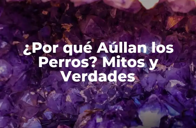 ¿Por qué Aúllan los Perros? La Teoría del Lobo