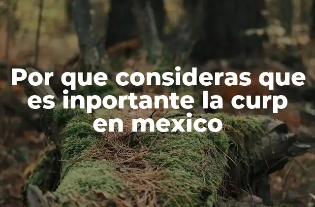 Por que Consideras que es Inportante la Curp en Mexico