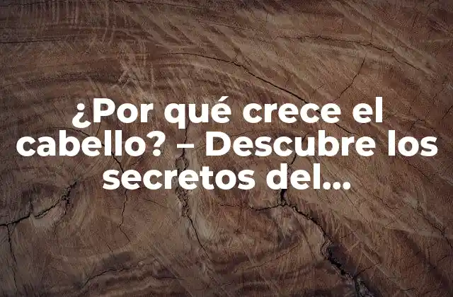 ¿por Qué Crece el Cabello? – Descubre los Secretos Del Crecimiento Del Cabello