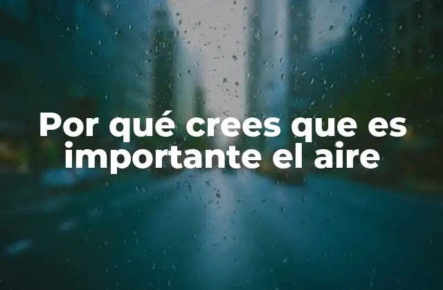 Por Qué Crees que es Importante el Aire