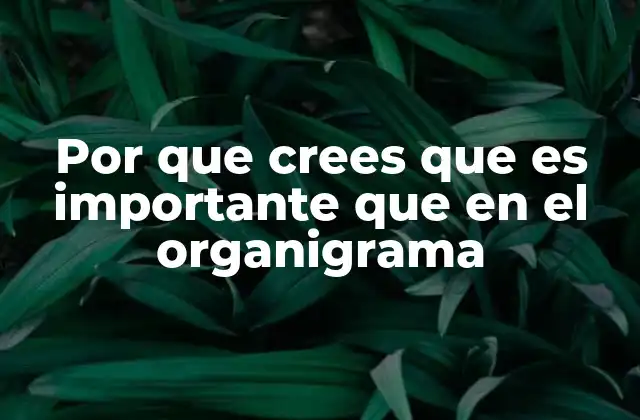 Por que Crees que es Importante que en el Organigrama