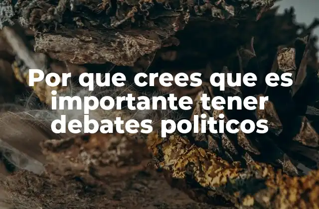 Por que Crees que es Importante Tener Debates Politicos
