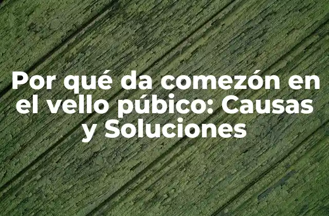 Por Qué Da Comezón en el Vello Púbico: Causas y Soluciones