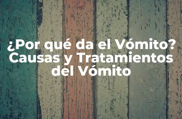 ¿por Qué Da el Vómito? Causas y Tratamientos Del Vómito