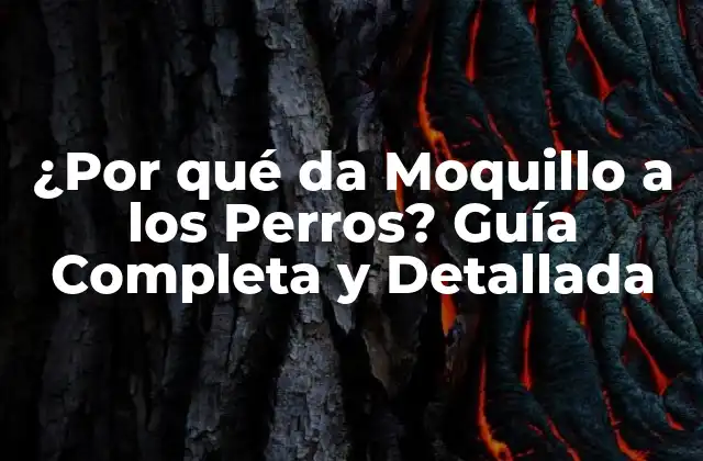 ¿por Qué Da Moquillo a los Perros? Guía Completa y Detallada