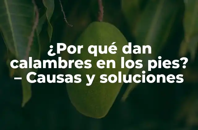 ¿por Qué Dan Calambres en los Pies? – Causas y Soluciones