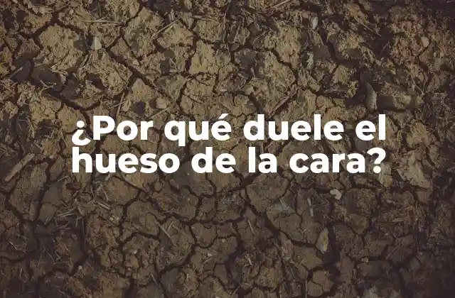 ¿por Qué Duele el Hueso de la Cara?