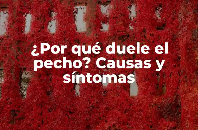 ¿por Qué Duele el Pecho? Causas y Síntomas