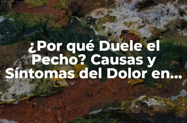 ¿por Qué Duele el Pecho? Causas y Síntomas Del Dolor en el Tórax