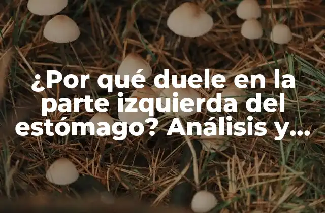 ¿por Qué Duele en la Parte Izquierda Del Estómago? Análisis y Soluciones