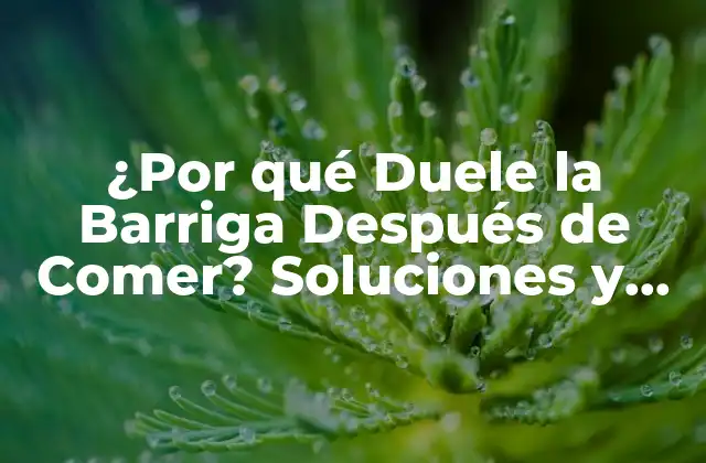¿por Qué Duele la Barriga Después de Comer? Soluciones y Causas
