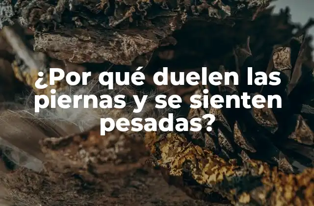 ¿por Qué Duelen las Piernas y Se Sienten Pesadas?