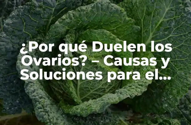 ¿por Qué Duelen los Ovarios? – Causas y Soluciones para el Dolor Ovárico