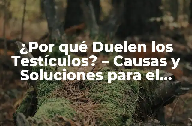 ¿por Qué Duelen los Testículos? – Causas y Soluciones para el Dolor Testicular