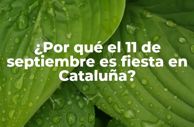 ¿por Qué el 11 de Septiembre es Fiesta en Cataluña? 2 La Historia detrás de la Diada Nacional de Cataluña