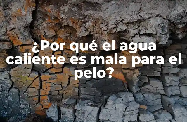 ¿por Qué el Agua Caliente es Mala para el Pelo?