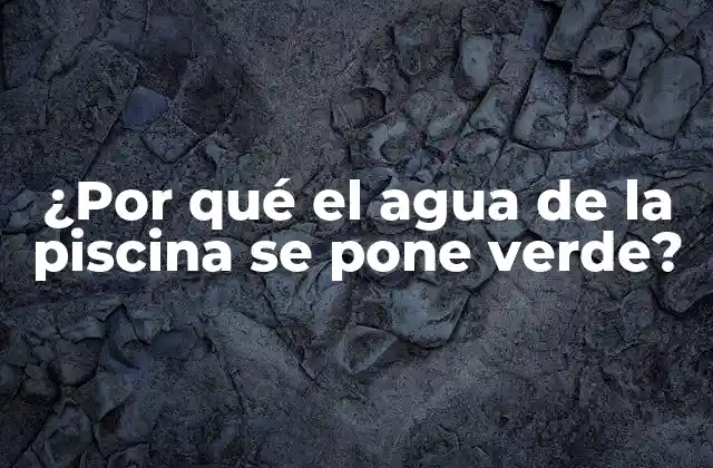 ¿por Qué el Agua de la Piscina Se Pone Verde?