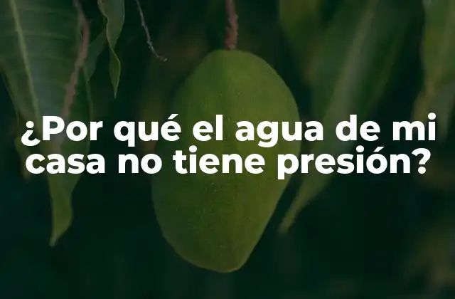 ¿por Qué el Agua de Mi Casa No Tiene Presión?