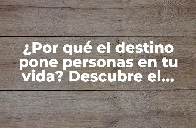 ¿por Qué el Destino Pone Personas en Tu Vida? Descubre el Propósito Detrás de Cada Encuentro