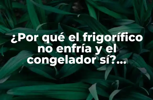¿por Qué el Frigorífico No Enfría y el Congelador Sí? Soluciones y Explicaciones