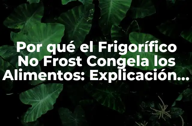 Por Qué el Frigorífico No Frost Congela los Alimentos: Explicación Detallada