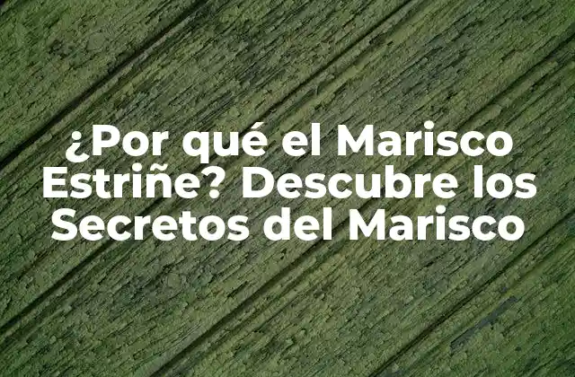 ¿por Qué el Marisco Estriñe? Descubre los Secretos Del Marisco