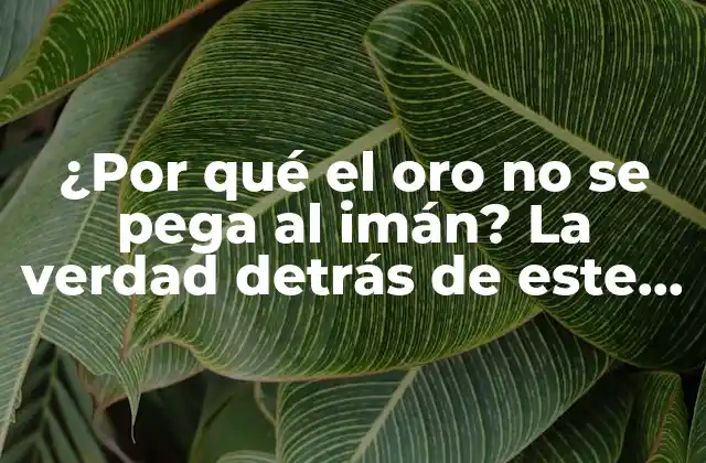 ¿por Qué el Oro No Se Pega Al Imán? la Verdad Detrás de Este Mito Común