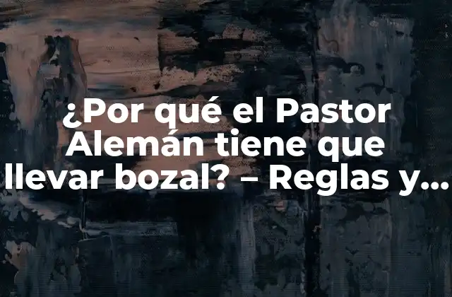 ¿por Qué el Pastor Alemán Tiene que Llevar Bozal? – Reglas y Razones