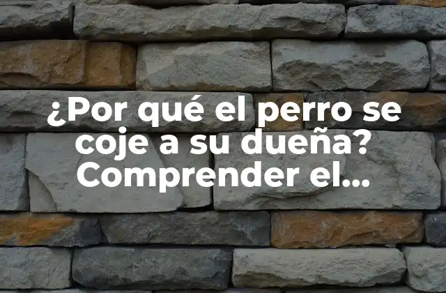 ¿por Qué el Perro Se Coje a Su Dueña? Comprender el Comportamiento Canino