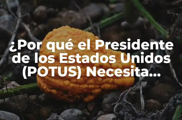 ¿por Qué el Presidente de los Estados Unidos (potus) Necesita Soluciones para el Cambio Climático?