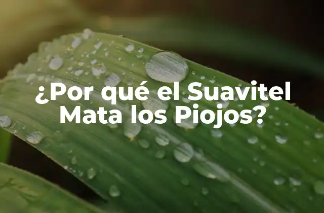 ¿por Qué el Suavitel Mata los Piojos?