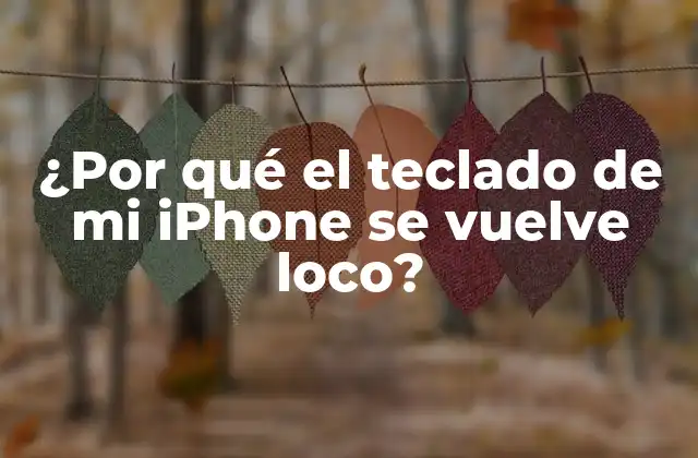 ¿por Qué el Teclado de Mi Iphone Se Vuelve Loco?