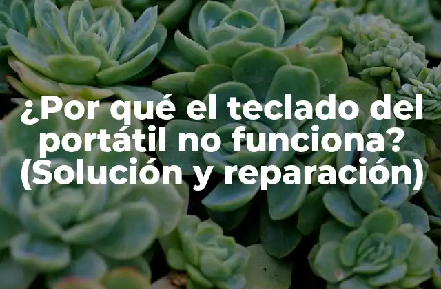 ¿por Qué el Teclado Del Portátil No Funciona? (solución y Reparación)