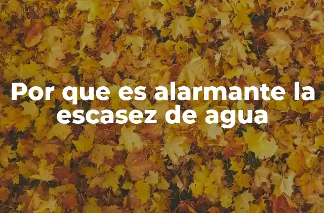 Por que es Alarmante la Escasez de Agua