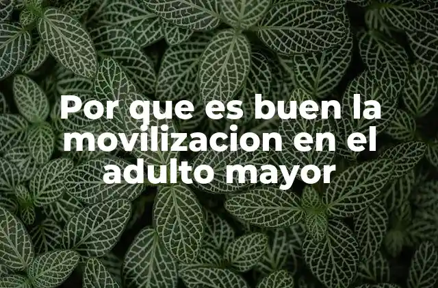 Por que es Buen la Movilizacion en el Adulto Mayor