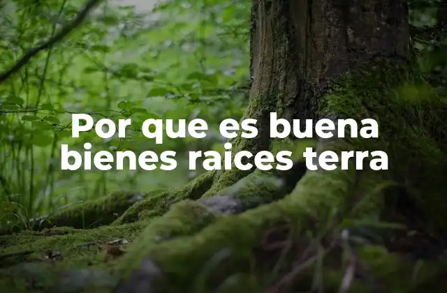 Por que es Buena Bienes Raices Terra