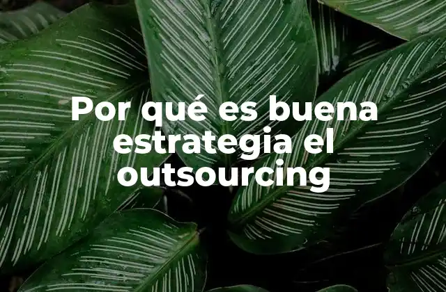 Por Qué es Buena Estrategia el Outsourcing