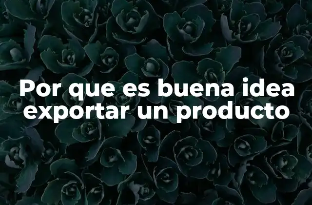 Por que es Buena Idea Exportar un Producto 2 Cómo la internacionalización impulsa el crecimiento empresarial