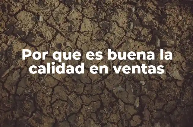 Por que es Buena la Calidad en Ventas