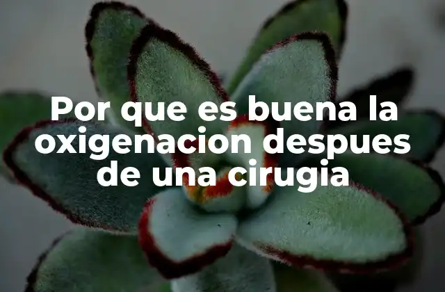 Por que es Buena la Oxigenacion Despues de una Cirugia