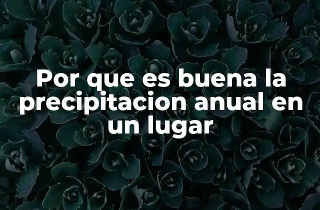 Por que es Buena la Precipitacion Anual en un Lugar