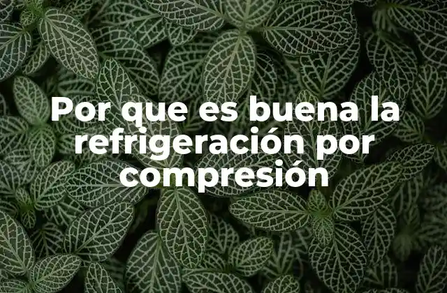 Por que es Buena la Refrigeración por Compresión