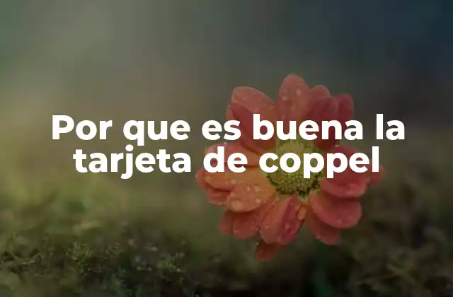 Por que es Buena la Tarjeta de Coppel