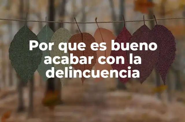 Por que es Bueno Acabar con la Delincuencia