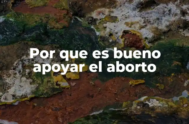 Por que es Bueno Apoyar el Aborto