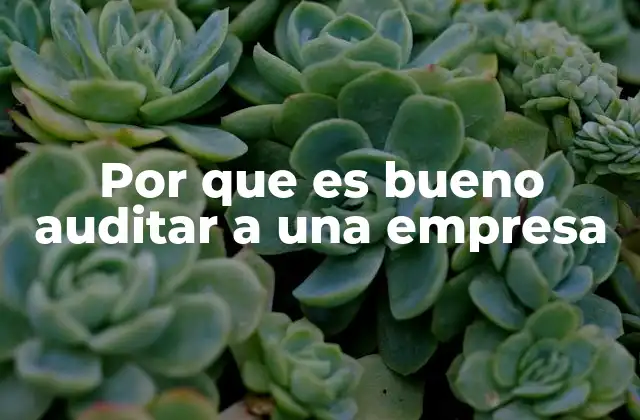 Por que es Bueno Auditar a una Empresa