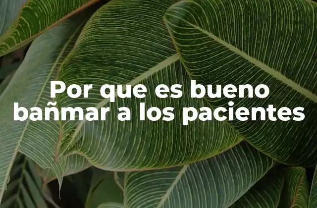 Por que es Bueno Bañmar a los Pacientes