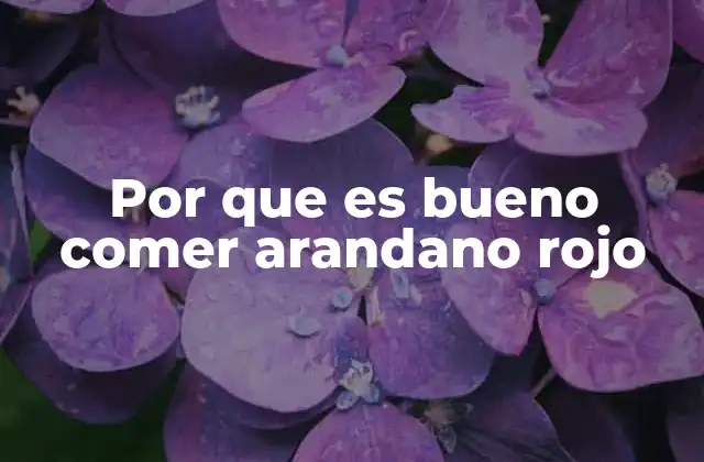 Por que es Bueno Comer Arandano Rojo