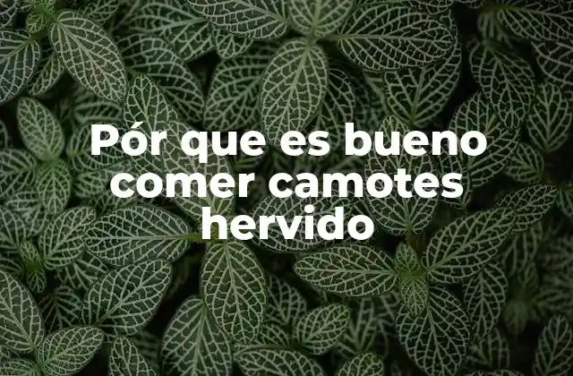 Beneficios nutricionales de los camotes hervidos
