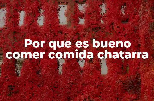 La comida chatarra como solución a la necesidad de comodidad